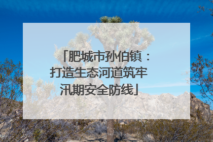 肥城市孙伯镇：打造生态河道筑牢汛期安全防线