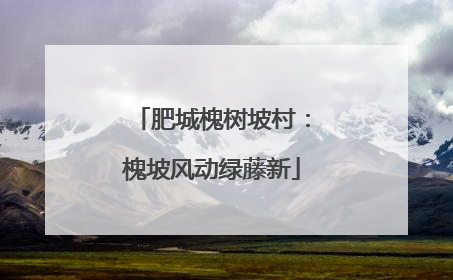 肥城槐树坡村：槐坡风动绿藤新