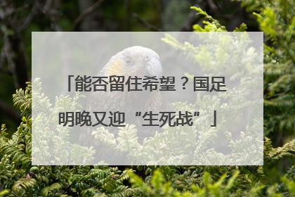 能否留住希望？国足明晚又迎“生死战”