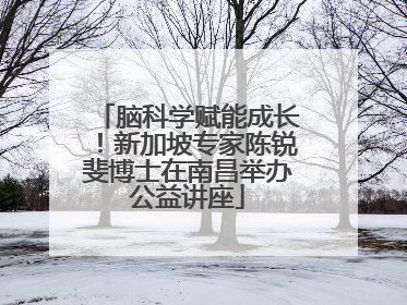 脑科学赋能成长！新加坡专家陈锐斐博士在南昌举办公益讲座