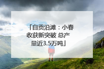 自贡沿滩：小春收获新突破 总产量近3.5万吨