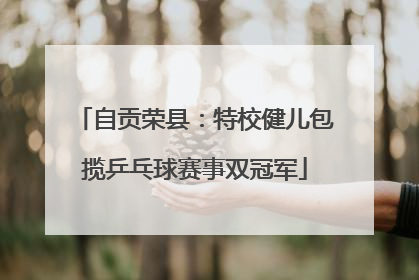 自贡荣县：特校健儿包揽乒乓球赛事双冠军