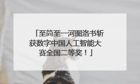 至简至一河图洛书斩获数字中国人工智能大赛全国二等奖！