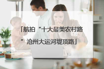 航拍“十大最美农村路”沧州大运河堤顶路
