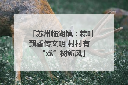 苏州临湖镇：粽叶飘香传文明 村村有“戏”树新风