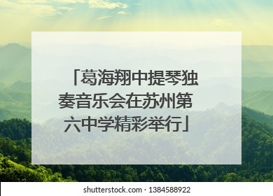 葛海翔中提琴独奏音乐会在苏州第六中学精彩举行