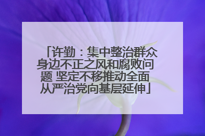 许勤：集中整治群众身边不正之风和腐败问题 坚定不移推动全面从严治党向基层延伸