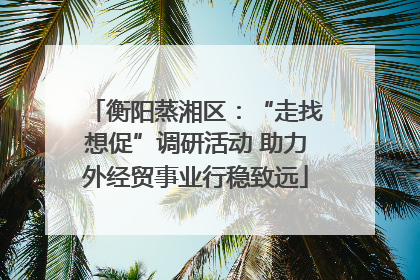 衡阳蒸湘区：“走找想促”调研活动 助力外经贸事业行稳致远
