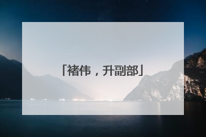 褚伟，升副部