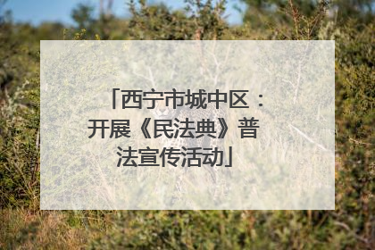 西宁市城中区：开展《民法典》普法宣传活动