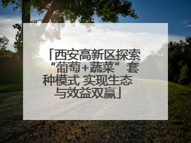 西安高新区探索“葡萄+蔬菜”套种模式 实现生态与效益双赢