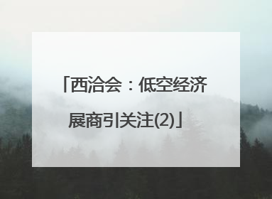 西洽会：低空经济展商引关注(2)