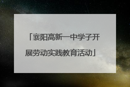 襄阳高新一中学子开展劳动实践教育活动