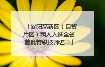 襄阳高新区（自贸片区）两人入选全省首批特级技师名单