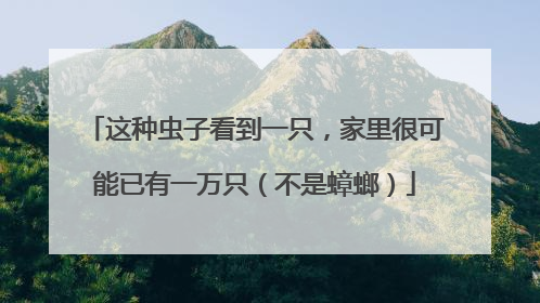 这种虫子看到一只，家里很可能已有一万只（不是蟑螂）