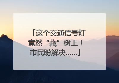 这个交通信号灯竟然“藏”树上！市民盼解决……