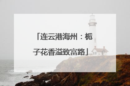 连云港海州：栀子花香溢致富路
