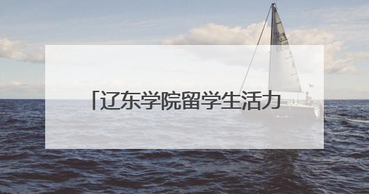辽东学院留学生活力亮相丹东匹克球赛