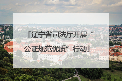 辽宁省司法厅开展“公证规范优质”行动