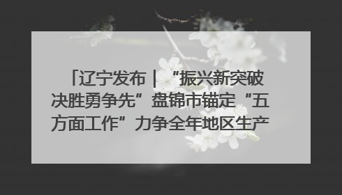 辽宁发布｜“振兴新突破 决胜勇争先”盘锦市锚定“五方面工作”力争全年地区生产总值增长5.5%左右