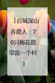 谷城深山养鹿人：70只梅花鹿带富一个村