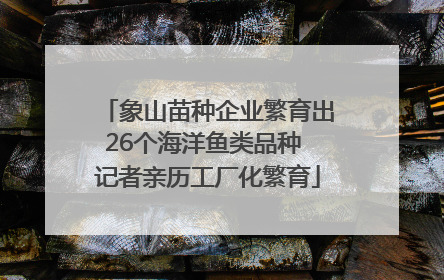 象山苗种企业繁育出26个海洋鱼类品种 记者亲历工厂化繁育