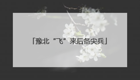 豫北“飞”来后备尖兵