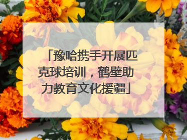 豫哈携手开展匹克球培训，鹤壁助力教育文化援疆