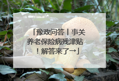 豫政问答丨事关养老保险病残津贴！解答来了→