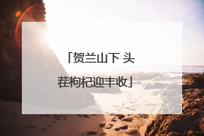 贺兰山下 头茬枸杞迎丰收