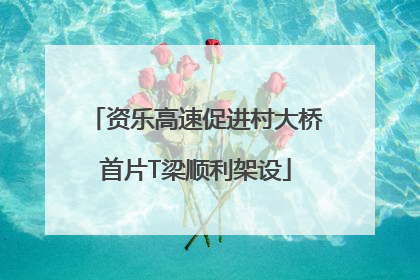 资乐高速促进村大桥首片T梁顺利架设