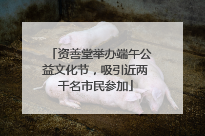资善堂举办端午公益文化节，吸引近两千名市民参加