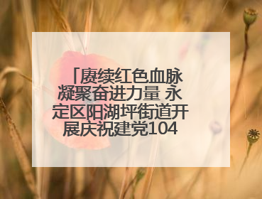 赓续红色血脉 凝聚奋进力量 永定区阳湖坪街道开展庆祝建党104周年系列活动
