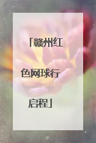 赣州红色网球行启程