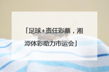 足球+责任彩票，湘潭体彩助力市运会