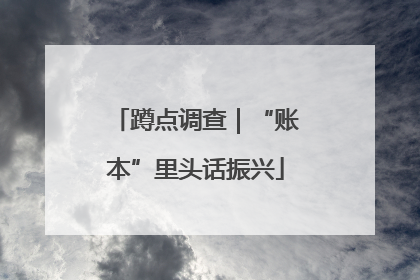 蹲点调查｜“账本”里头话振兴