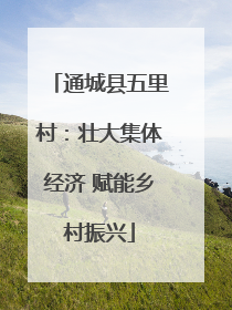 通城县五里村：壮大集体经济 赋能乡村振兴