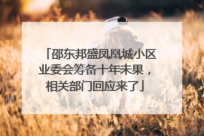 邵东邦盛凤凰城小区业委会筹备十年未果，相关部门回应来了