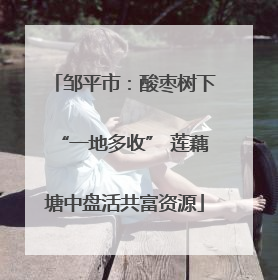 邹平市：酸枣树下“一地多收” 莲藕塘中盘活共富资源