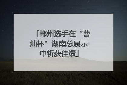 郴州选手在“曹灿杯”湖南总展示中斩获佳绩