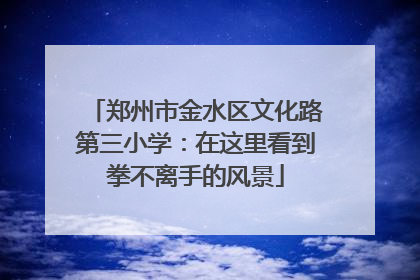 郑州市金水区文化路第三小学：在这里看到拳不离手的风景