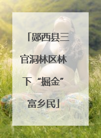 郧西县三官洞林区林下“掘金”富乡民