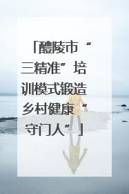 醴陵市“三精准”培训模式锻造乡村健康“守门人”