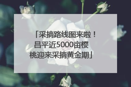 采摘路线图来啦！昌平近5000亩樱桃迎来采摘黄金期