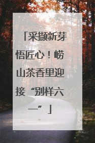 采撷新芽悟匠心！崂山茶香里迎接“别样六一”