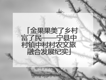 金果果美了乡村富了民——宁县中村镇中村村农文旅融合发展纪实