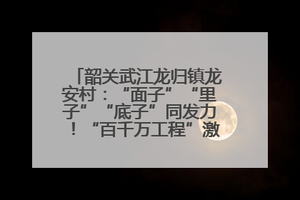 韶关武江龙归镇龙安村：“面子”“里子”“底子”同发力！“百千万工程”激活乡村新动能