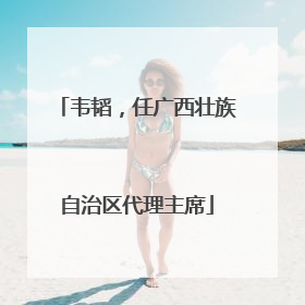 韦韬，任广西壮族自治区代理主席