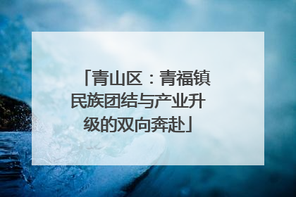 青山区：青福镇民族团结与产业升级的双向奔赴