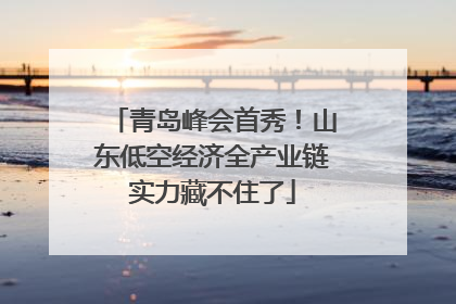 青岛峰会首秀！山东低空经济全产业链实力藏不住了